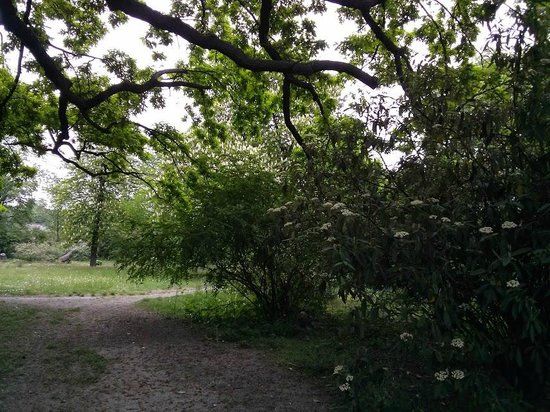 Botanical Garden of ONU named after Y. Y. Mechnikova